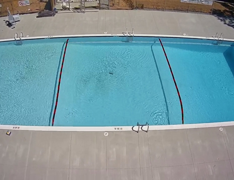 Untitled design (23)