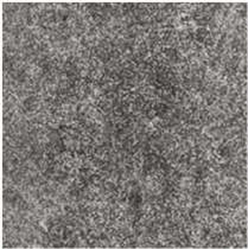 Porcea Birch Timber official outdoor porcelain project